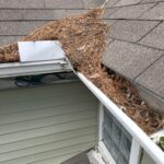 Gutters Clogged