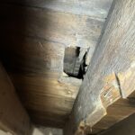 Notched Out Main Beam